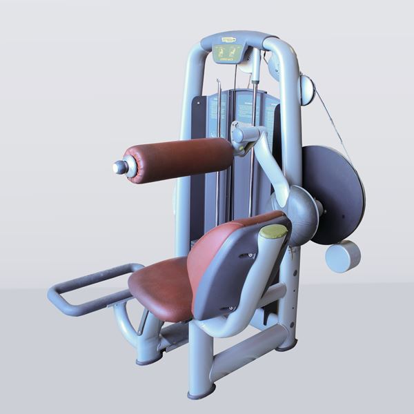 Technogym Lower Back
