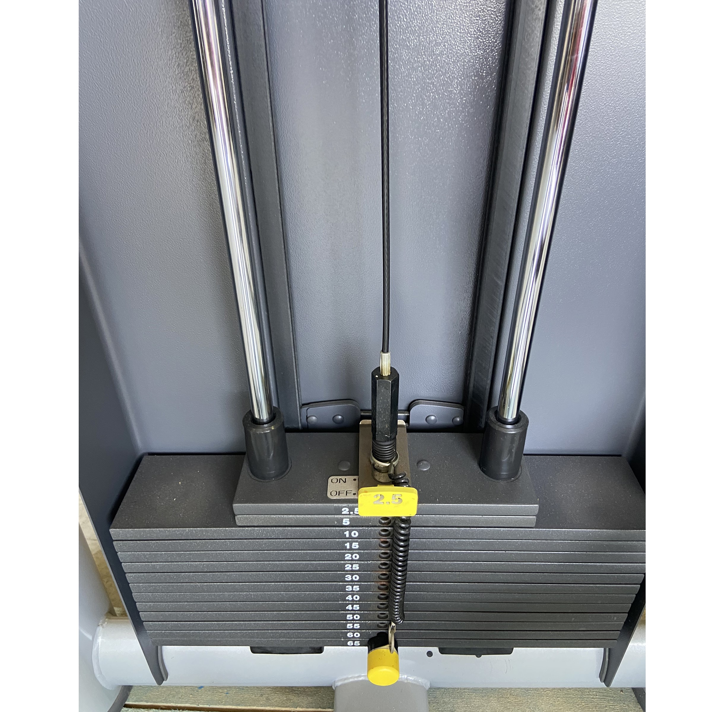 Technogym Lower Back