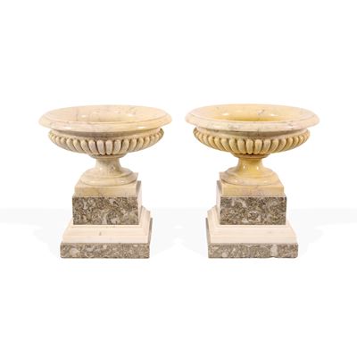 Coppia di Vaschette in Marmo Giallo Antico