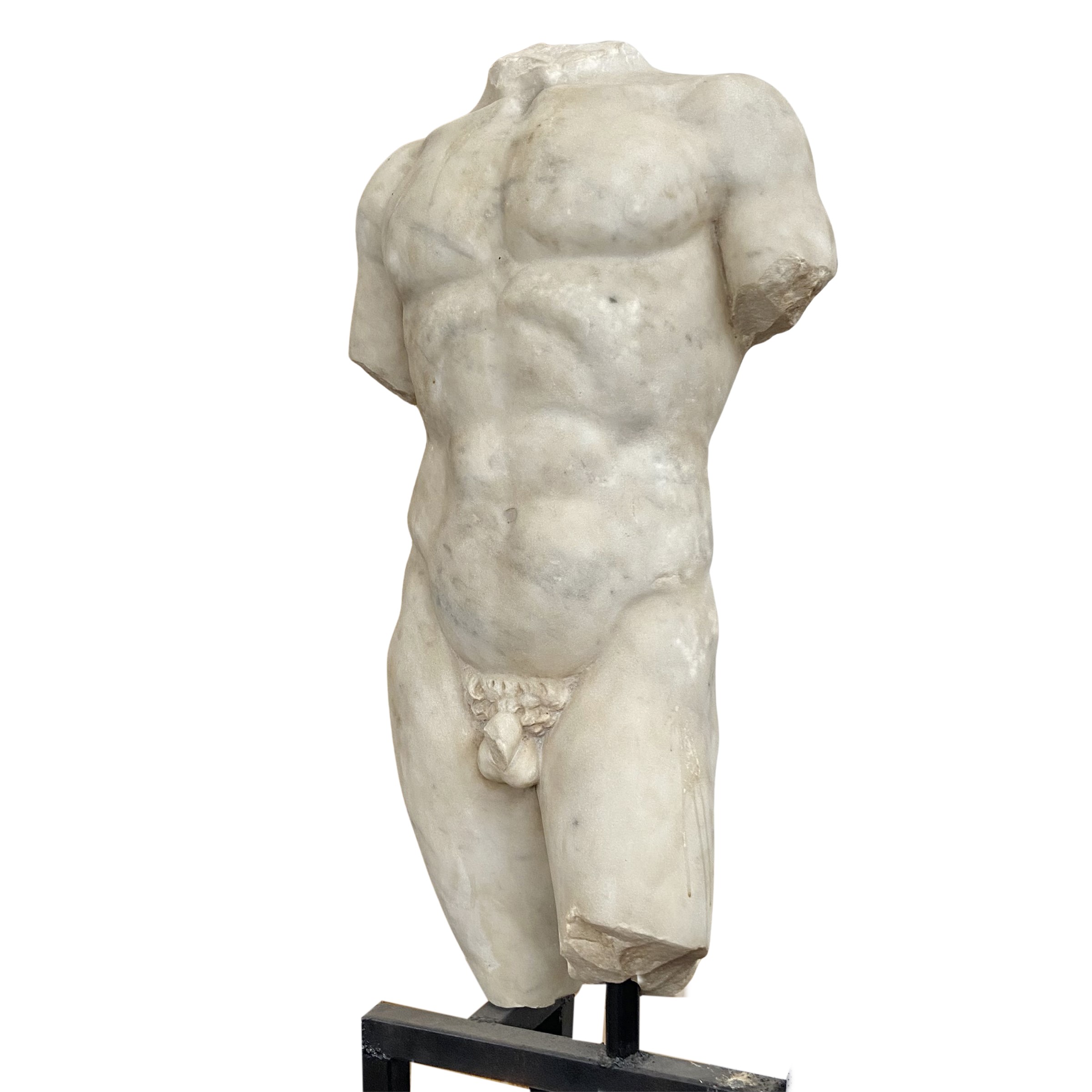 Grande torso virile