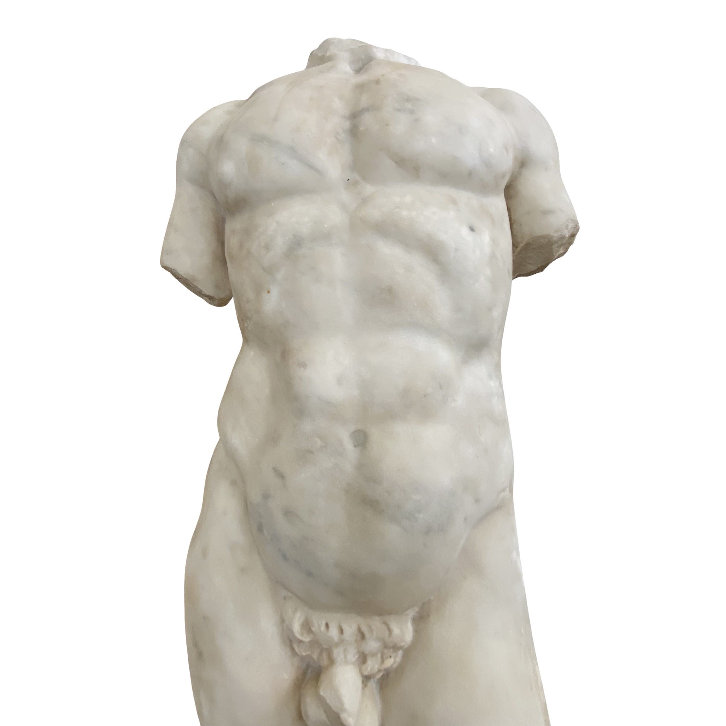 Grande torso virile