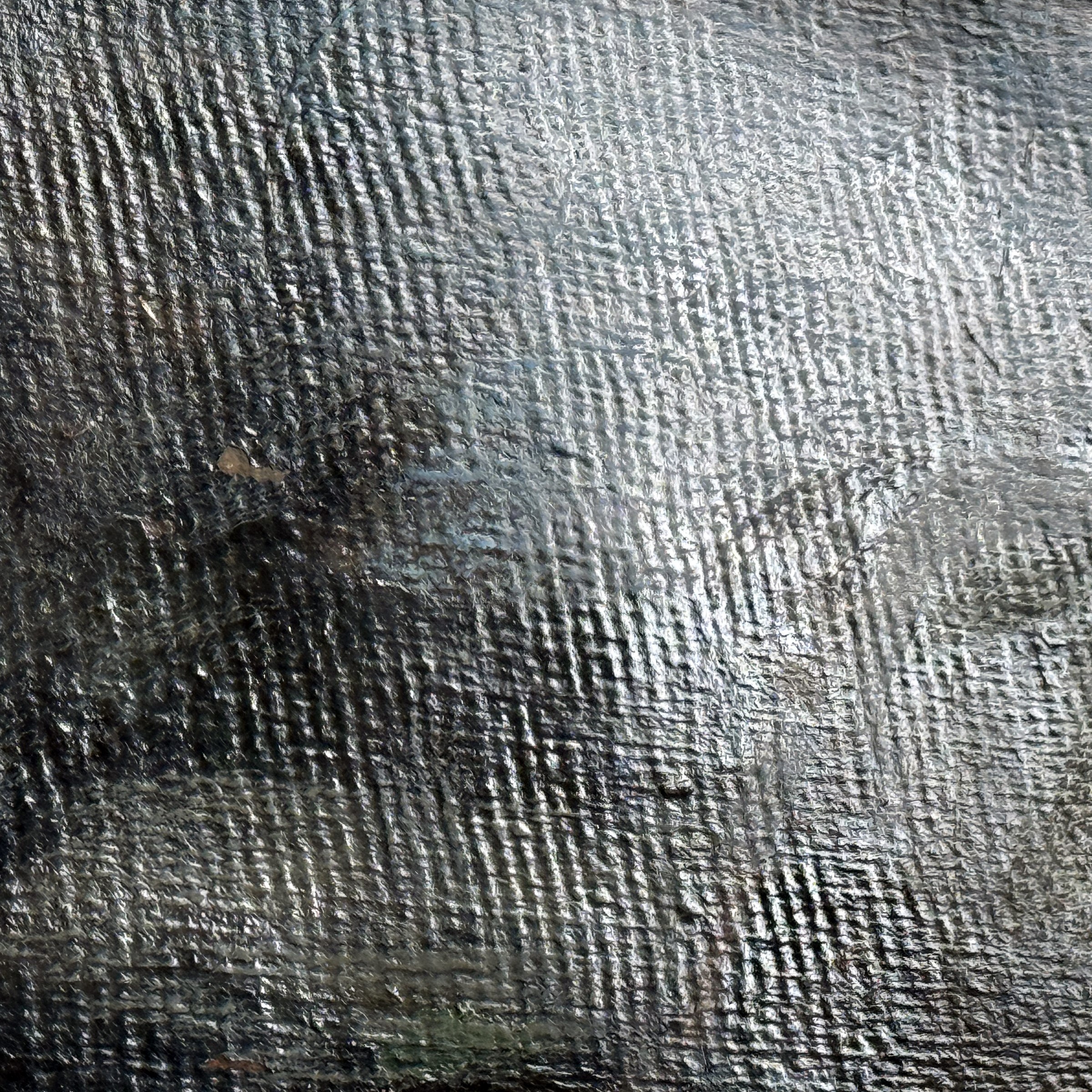 Lorenzo Viani